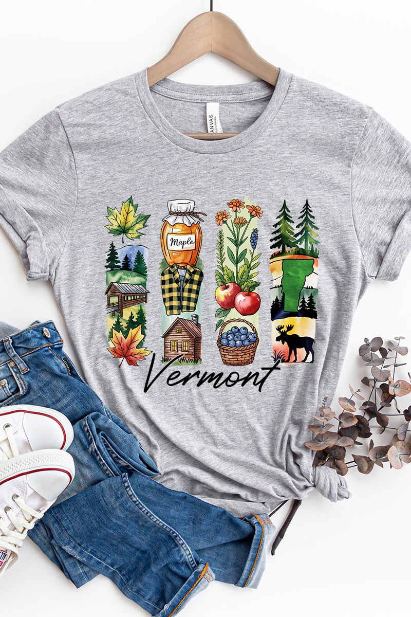 US3001P-E3061VT Vermont State Brushstroke Graphic Plus Tee $16