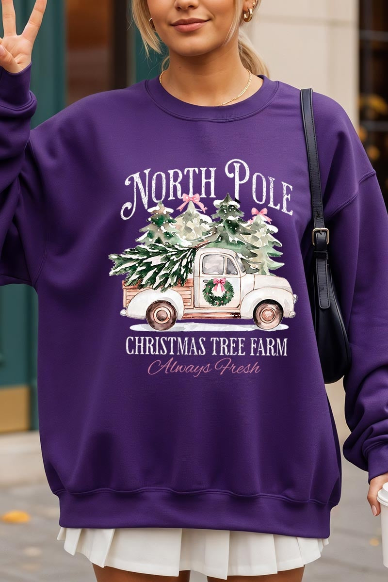 UL180-E3174 North Pole Christmas Graphic Sweatshirt $20