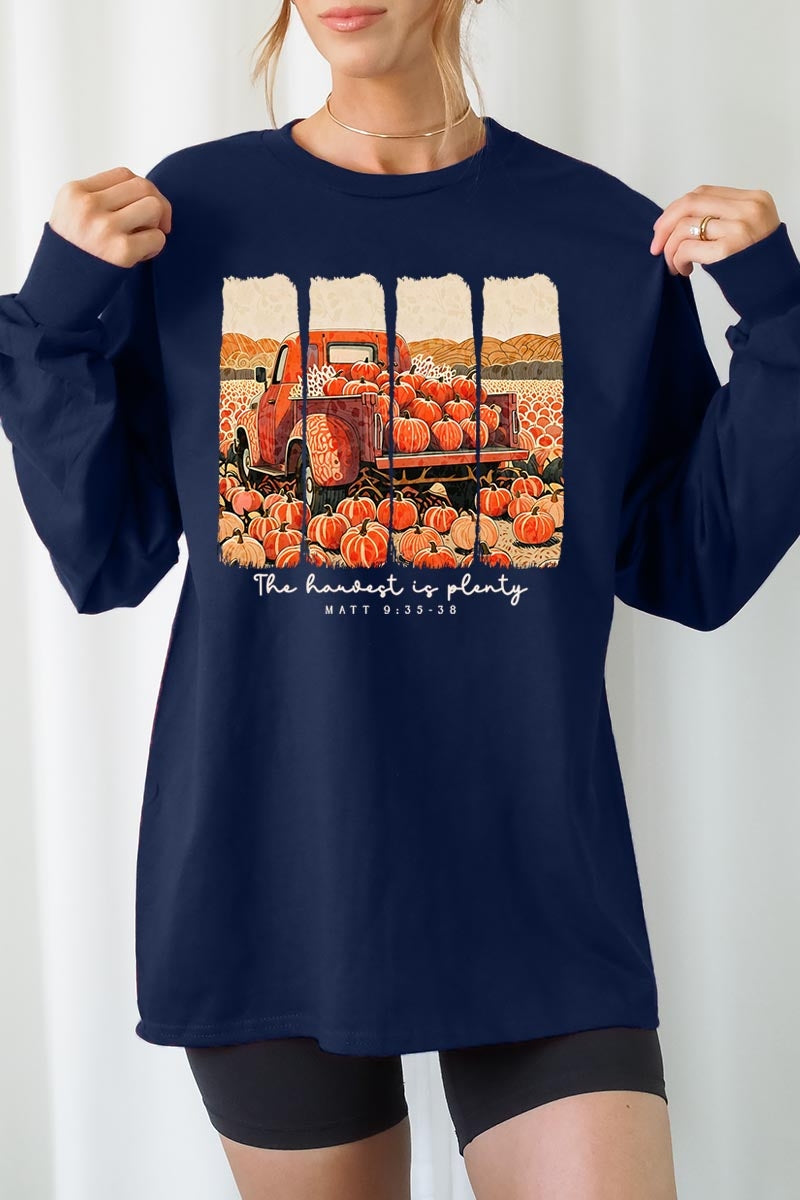 UL240-E3172 Harvest Is Plenty Graphic Long Sleeve Tee $13.75