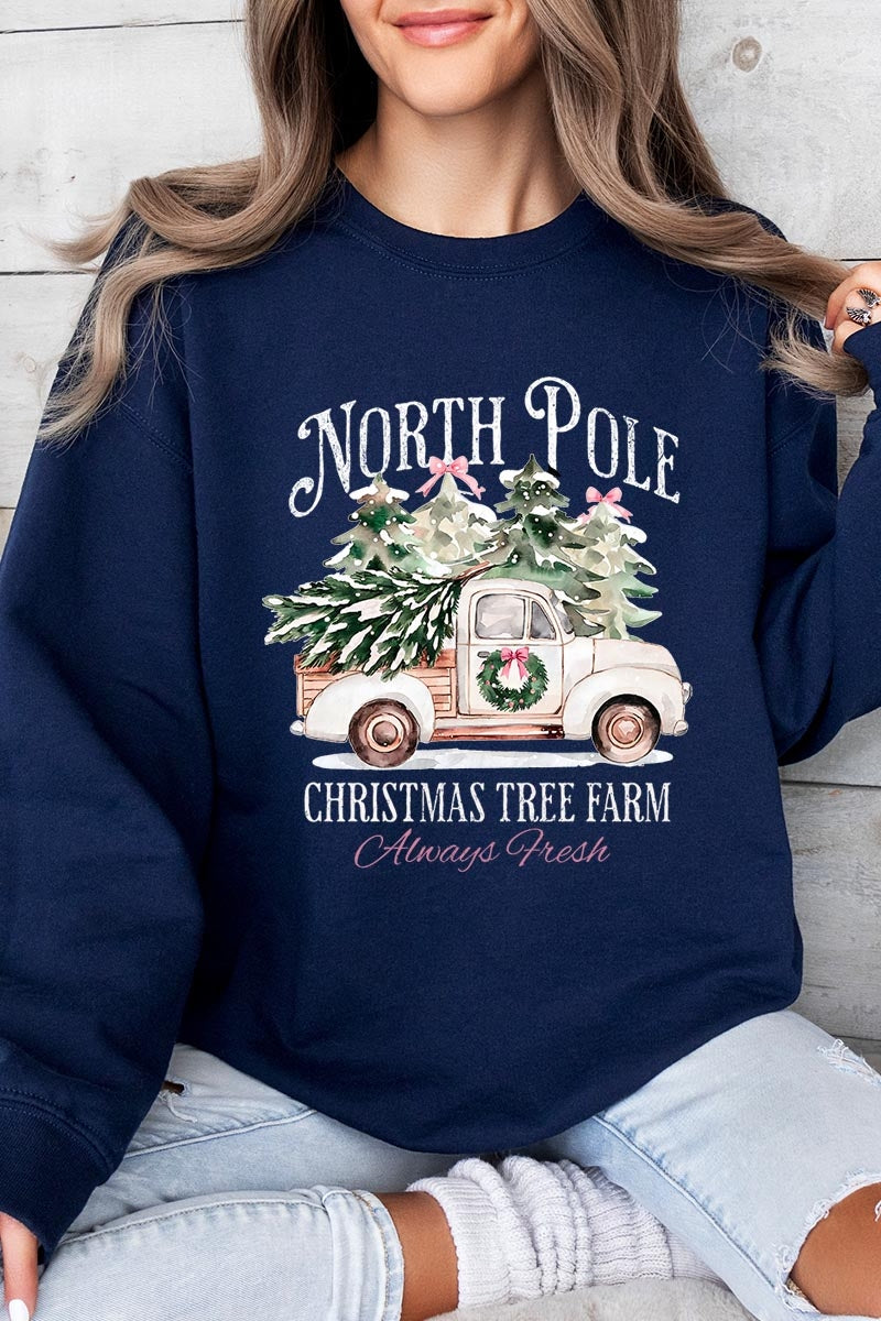 UL180P-E3174 North Pole Christmas Graphic Plus Sweatshirt $25