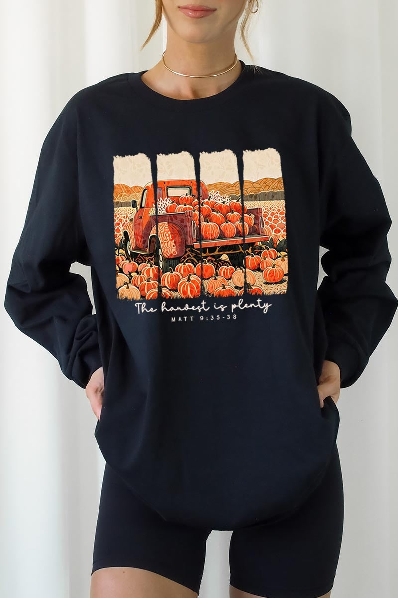 UL240P-E3172 Harvest Is Plenty Graphic Plus Long Sleeve Tee $17