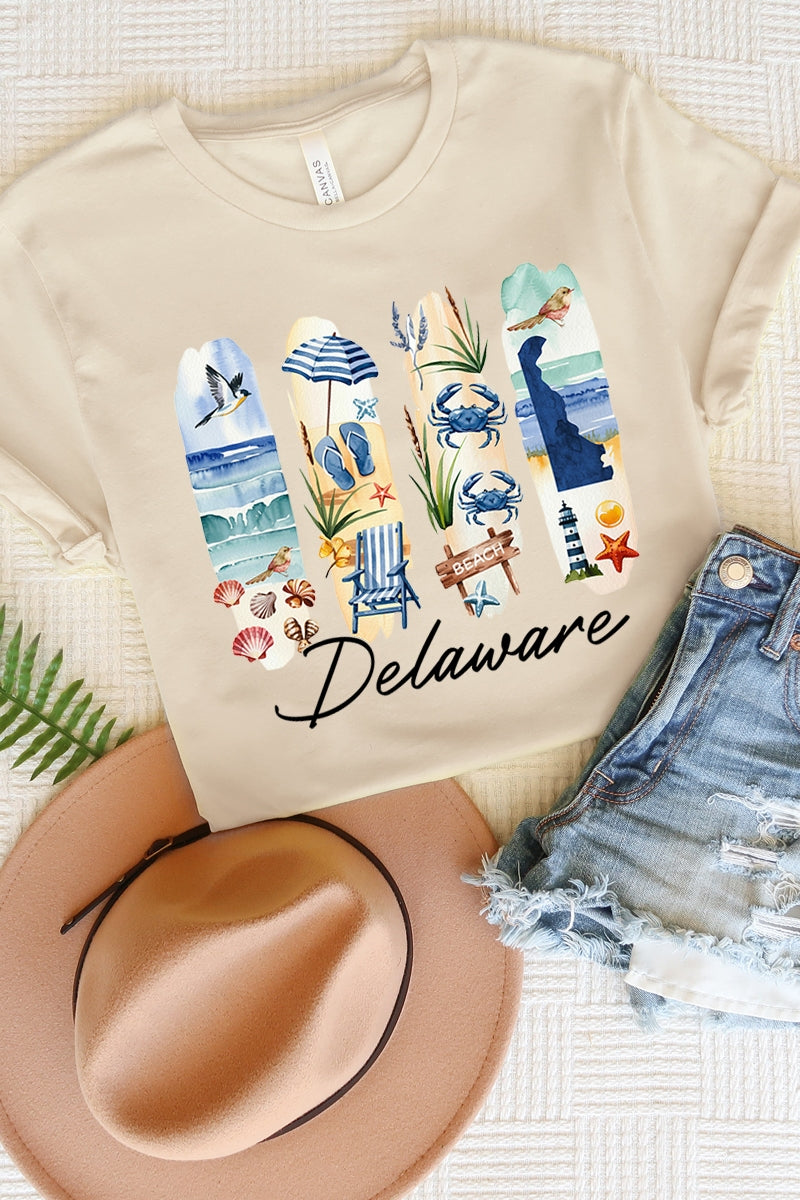 US3001-E3061DE Delaware State Brushstroke Graphic Tee $12.5