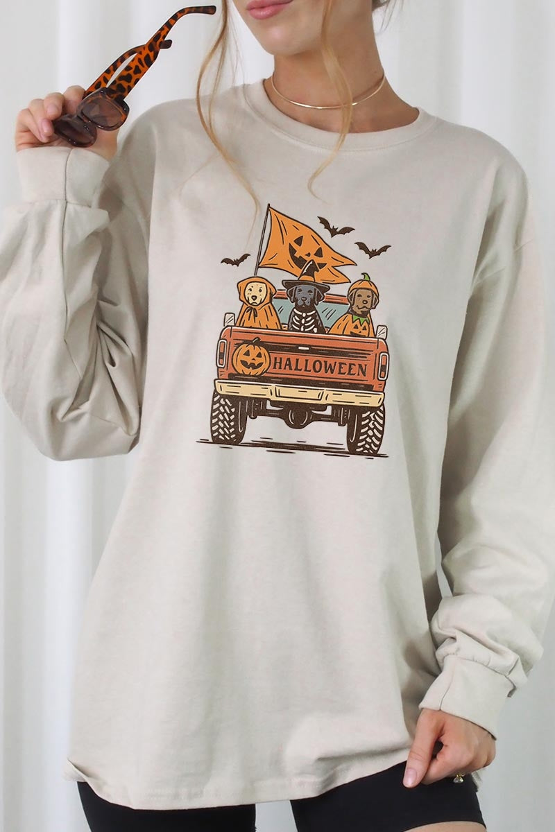 UL240-E3150 Halloween Truck Dogs Graphic Long Sleeve Tee $13.75