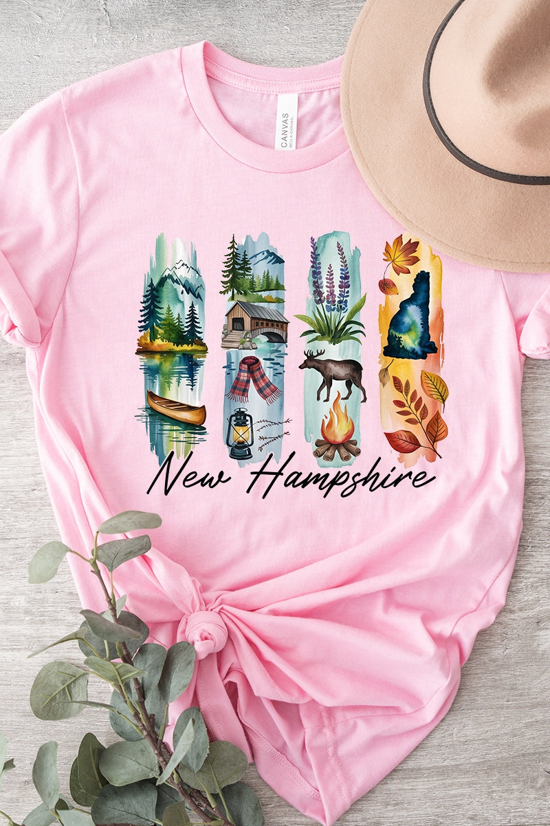 US3001P-E3061NH New Hampshire State Brushstroke Graphic Plus Tee $16