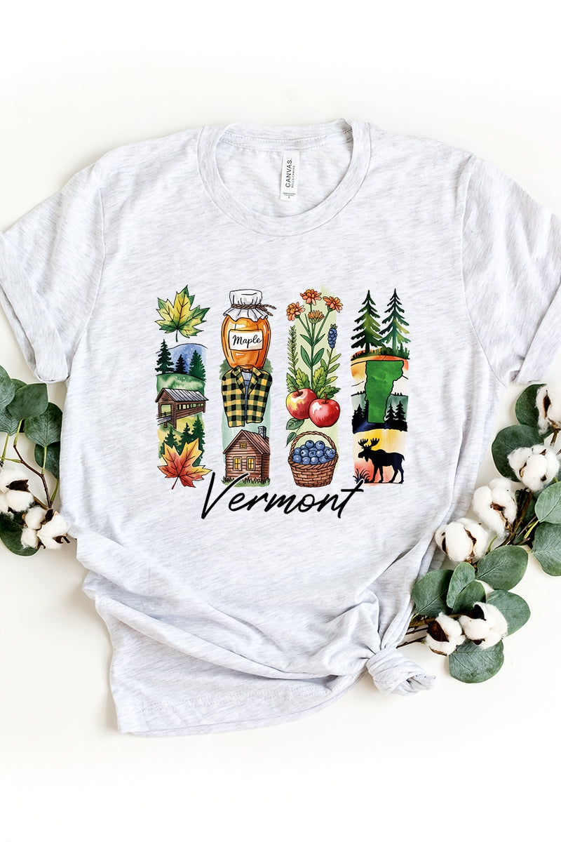 US3001P-E3061VT Vermont State Brushstroke Graphic Plus Tee $16