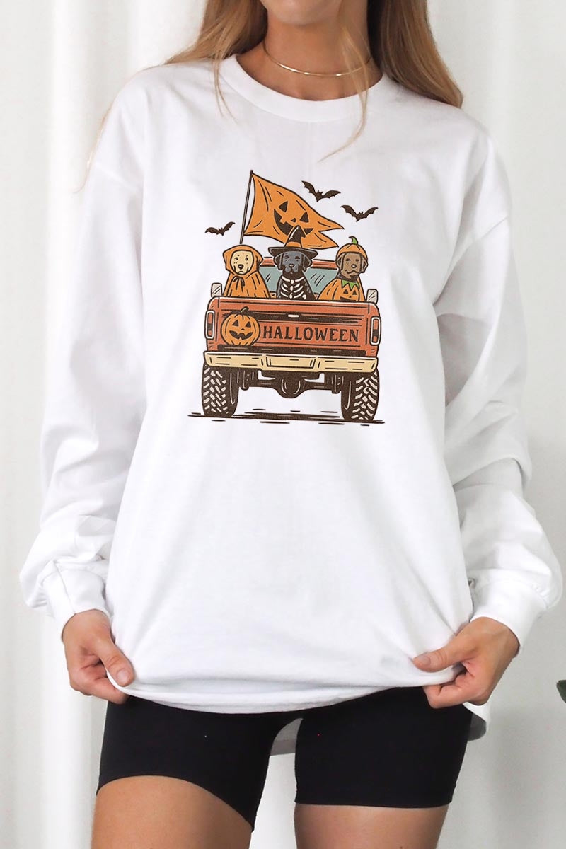 UL240-E3150 Halloween Truck Dogs Graphic Long Sleeve Tee $13.75