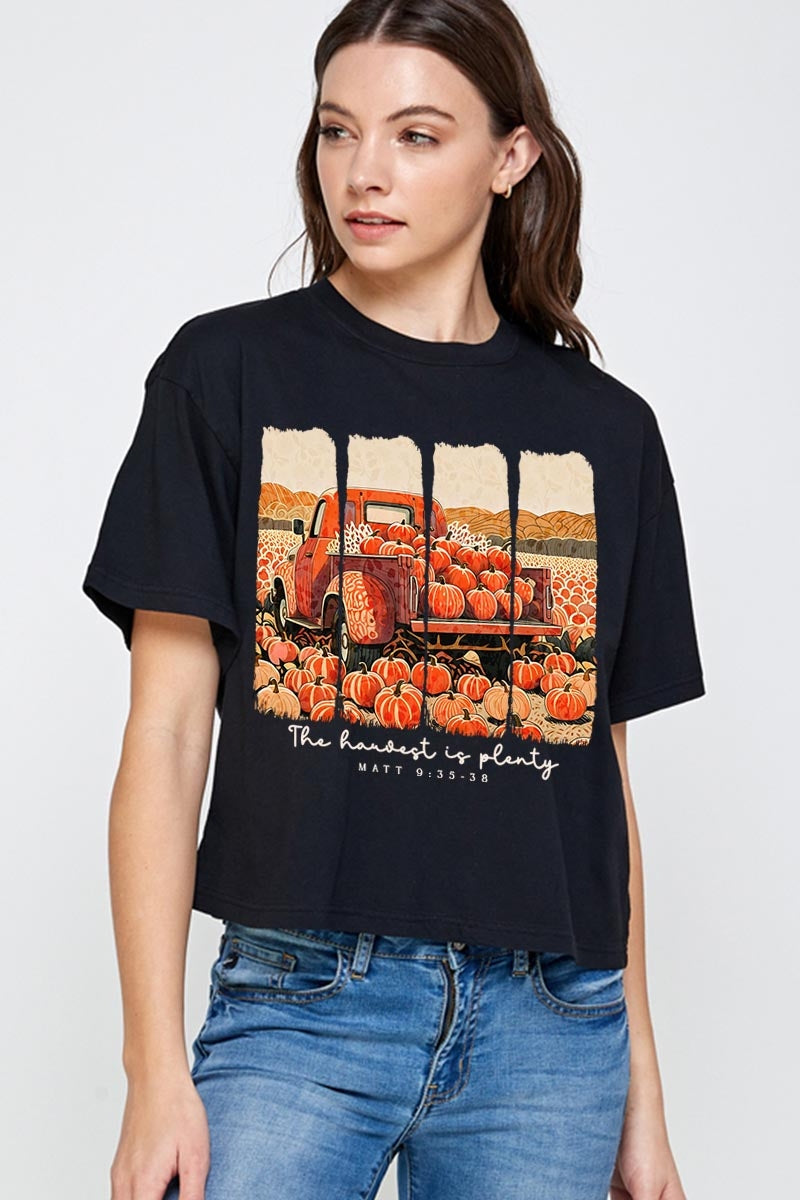 CTS-E3172 Harvest Is Plenty Graphic Relaxed Crop Top $11