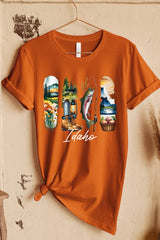 US3001-E3061ID Idaho State Brushstroke Graphic Tee $12.5