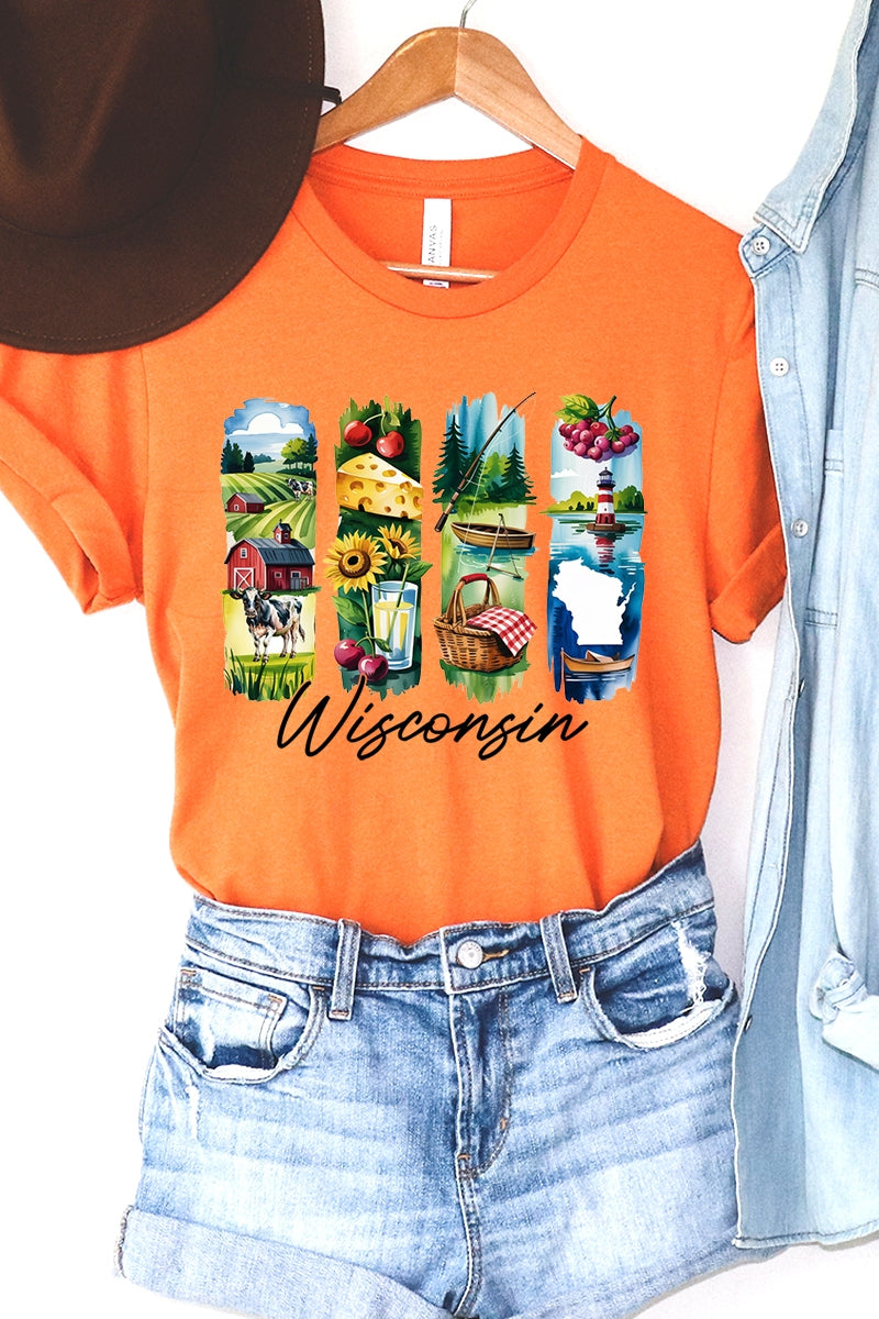 US3001P-E3061WI Wisconsin State Brushstroke Graphic Plus Tee $16