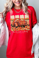 5000-E3172 Harvest Is Plenty Graphic Heavy Cotton Tee $9