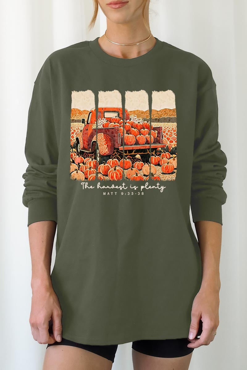 UL240-E3172 Harvest Is Plenty Graphic Long Sleeve Tee $13.75