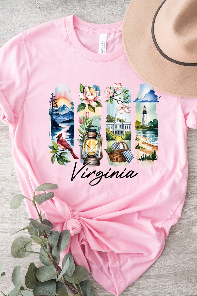 US3001P-E3061VA Virginia State Brushstroke Graphic Plus Tee $16