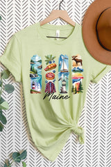 US3001P-E3061ME Maine State Brushstroke Graphic Plus Tee $16