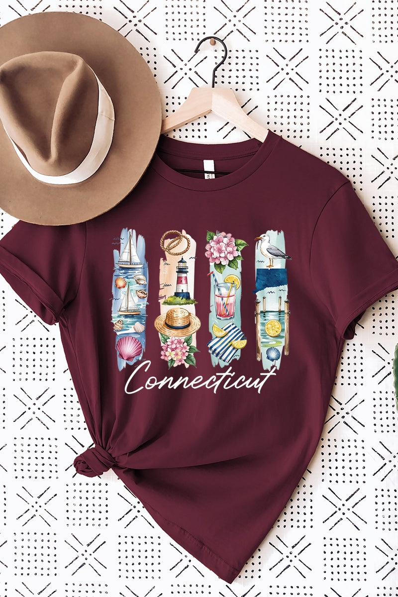 US3001P-E3061CT Connecticut State Brushstroke Graphic Plus Tee $16
