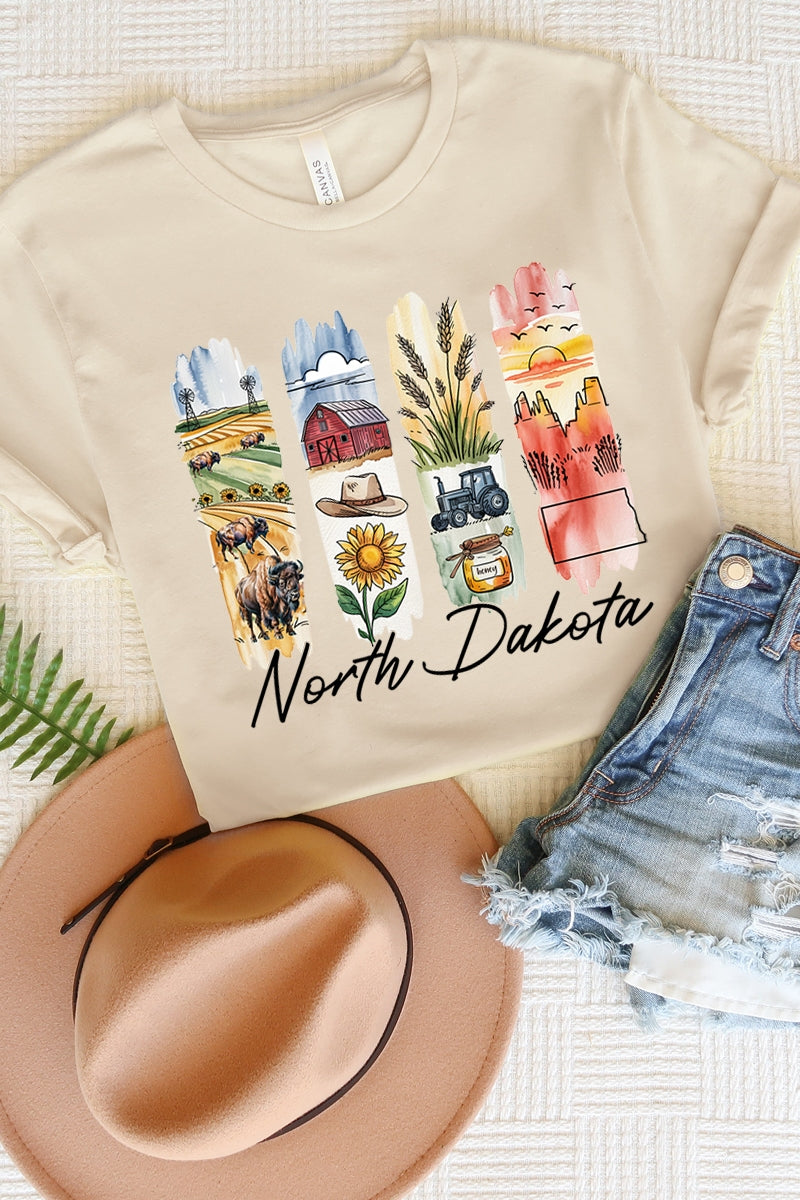 US3001P-E3061ND North Dakota State Brushstroke Graphic Plus Tee $16