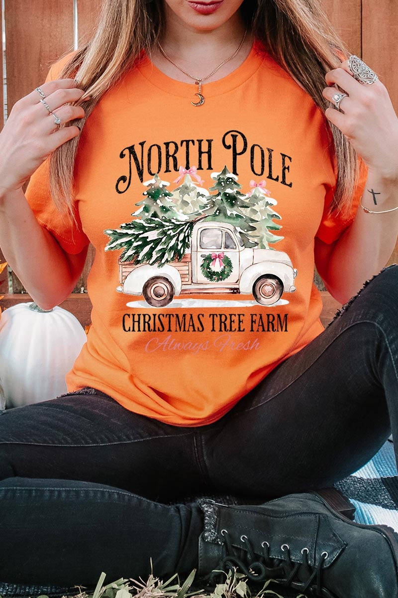 US3001P-E3174 North Pole Christmas Graphic Plus Tee $16