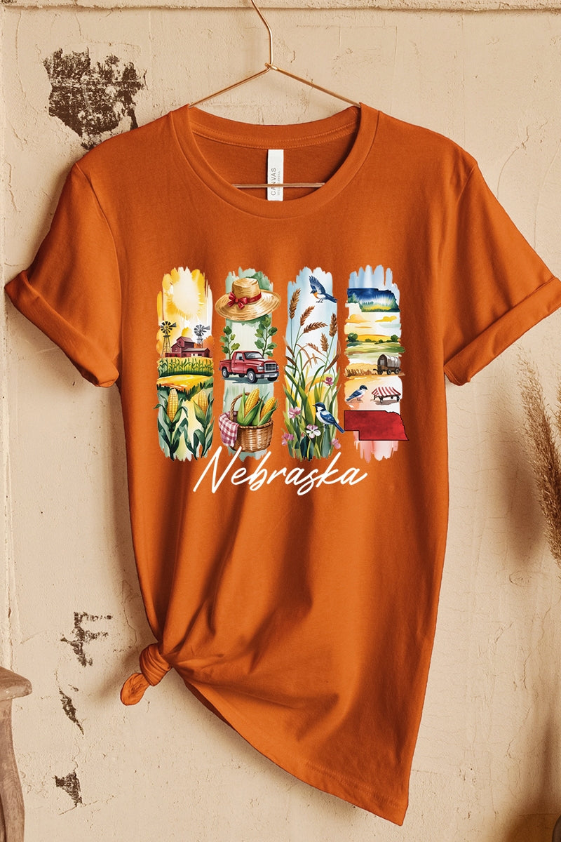 US3001-E3061NE Nebraska State Brushstroke Graphic Tee $12.5