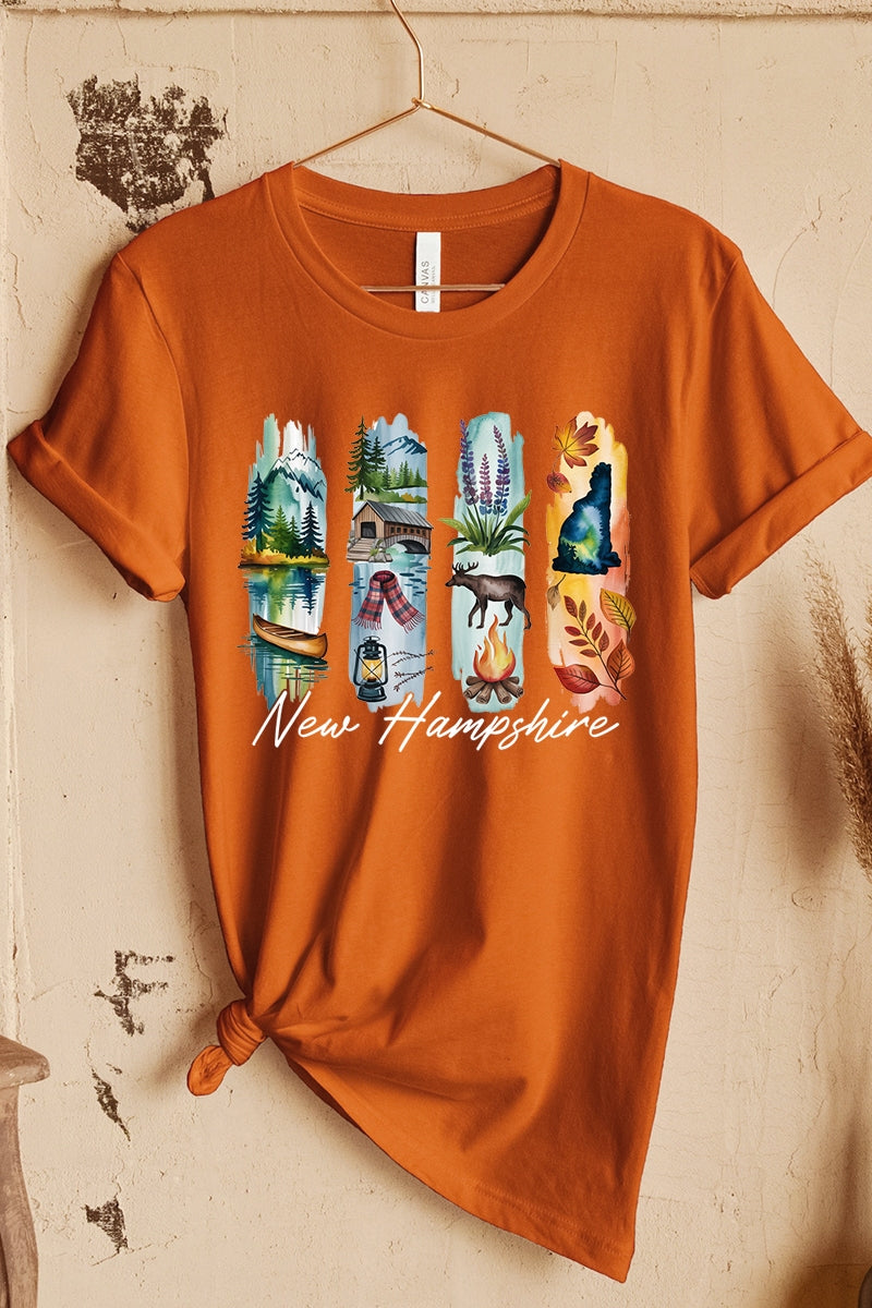 US3001P-E3061NH New Hampshire State Brushstroke Graphic Plus Tee $16