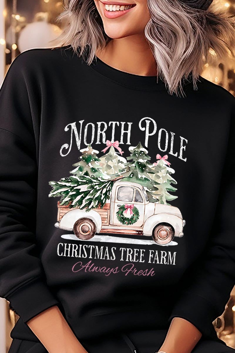 UL180-E3174 North Pole Christmas Graphic Sweatshirt $20