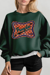 UL180-E3144 Itu2019s pumpkin time Graphic Sweatshirt $20
