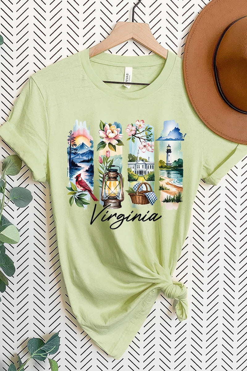 US3001P-E3061VA Virginia State Brushstroke Graphic Plus Tee $16