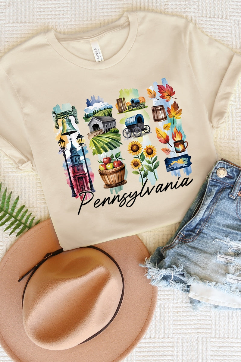 US3001P-E3061PA Pennsylvania State Brushstroke Graphic Plus Tee $16