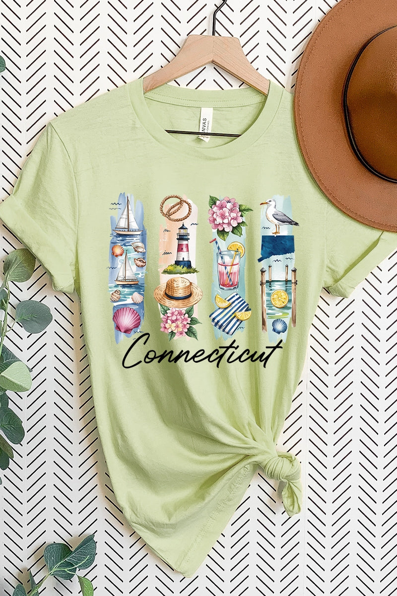 US3001P-E3061CT Connecticut State Brushstroke Graphic Plus Tee $16