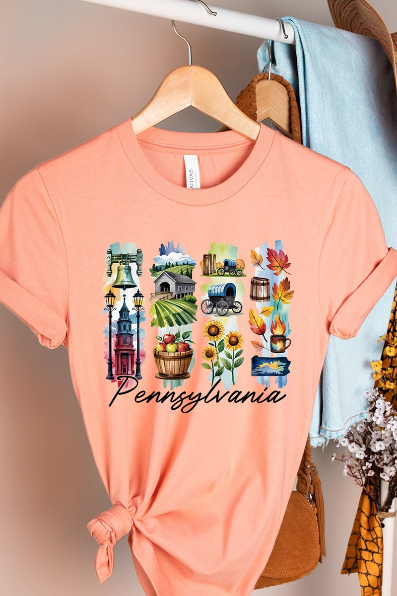 US3001-E3061PA Pennsylvania State Brushstroke Graphic Tee $12.5