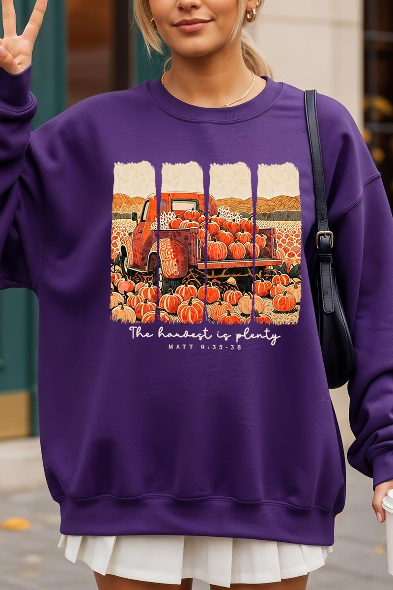 UL180-E3172 Harvest Is Plenty Graphic Sweatshirt $20