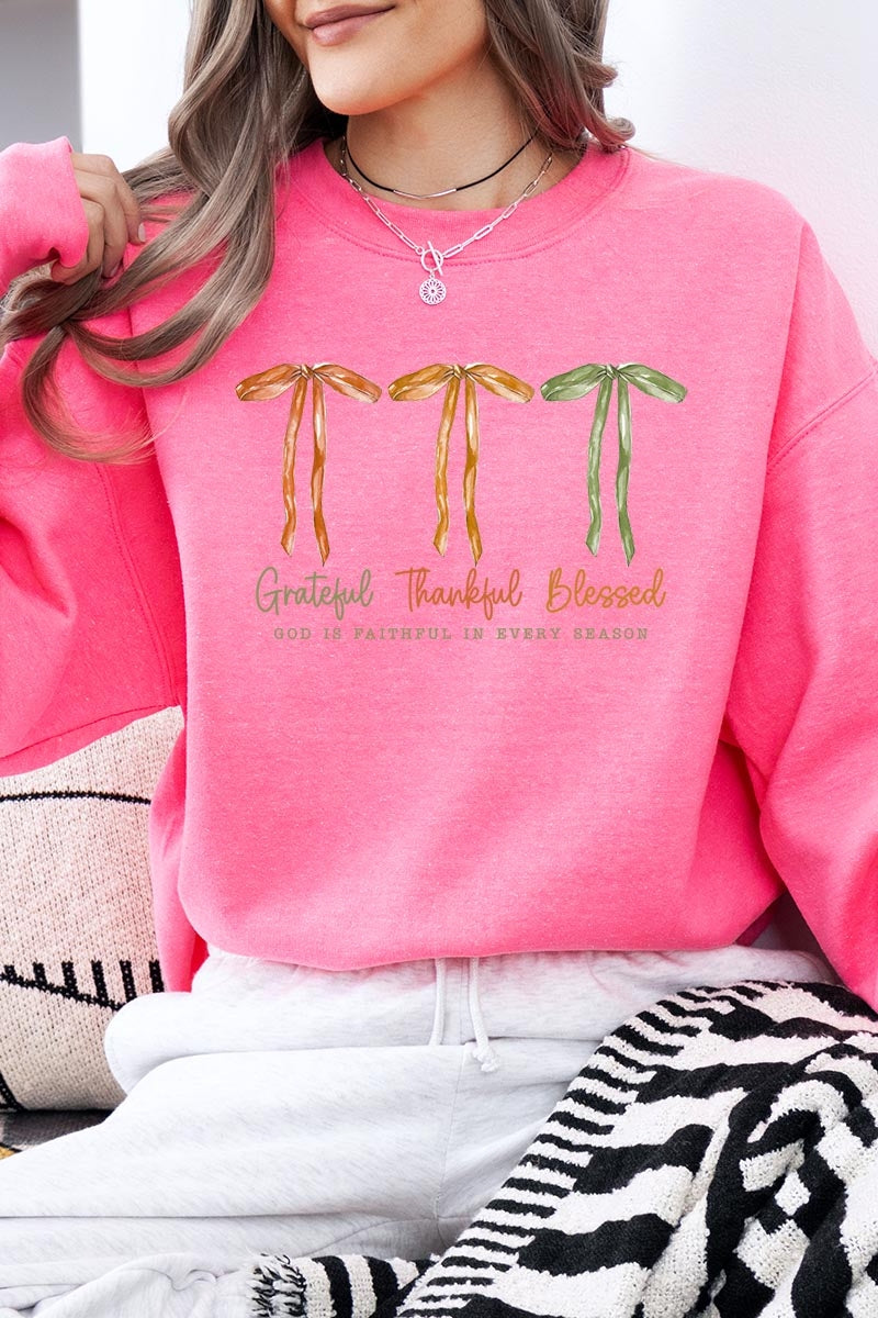 UL180-E3111 Grateful Thankful Blessed Graphic Sweatshirt $20