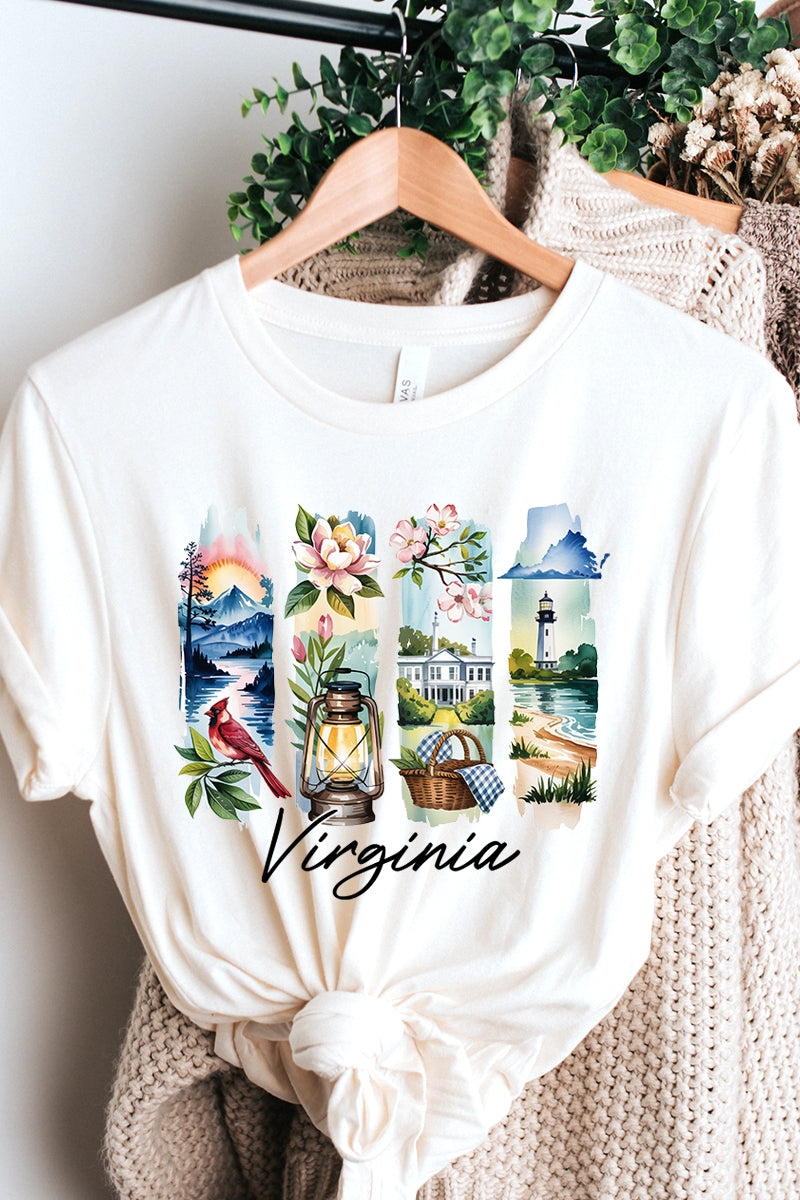 US3001-E3061VA Virginia State Brushstroke Graphic Tee $12.5
