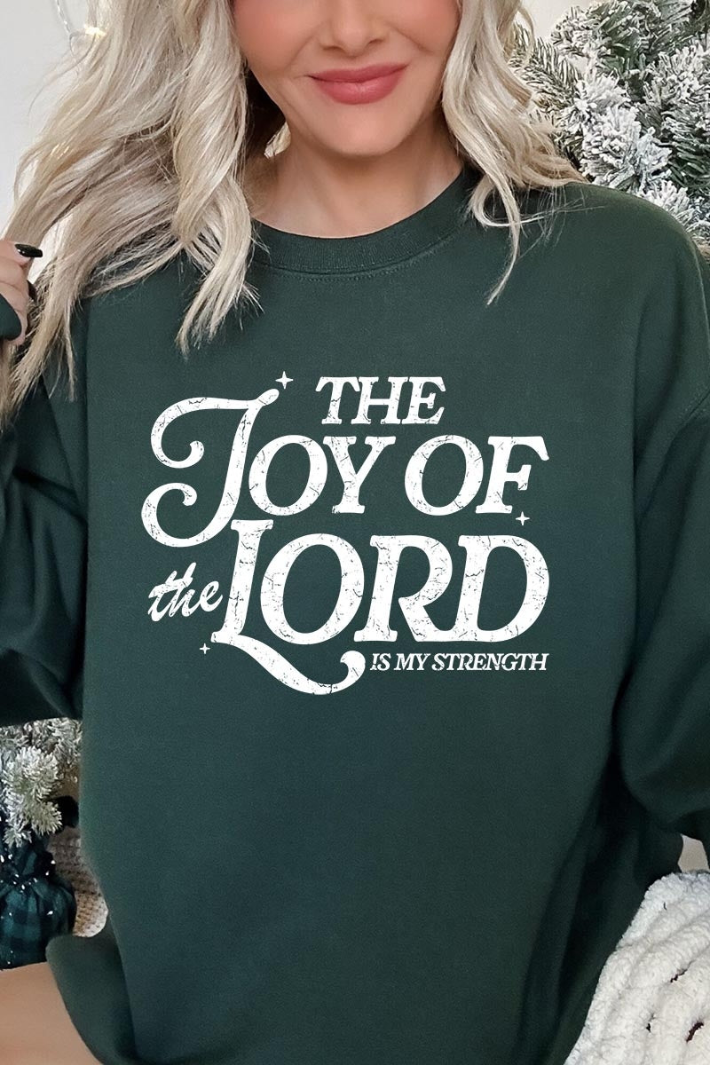 UL180P-E3179 Joy of the Lord Graphic Plus Sweatshirt $25