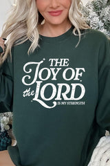 UL180-E3179 Joy of the Lord Graphic Sweatshirt $20