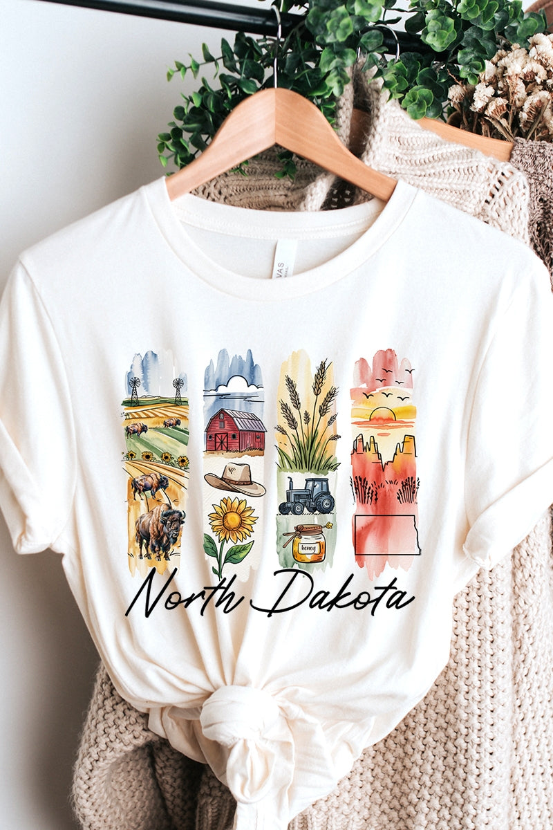 US3001P-E3061ND North Dakota State Brushstroke Graphic Plus Tee $16