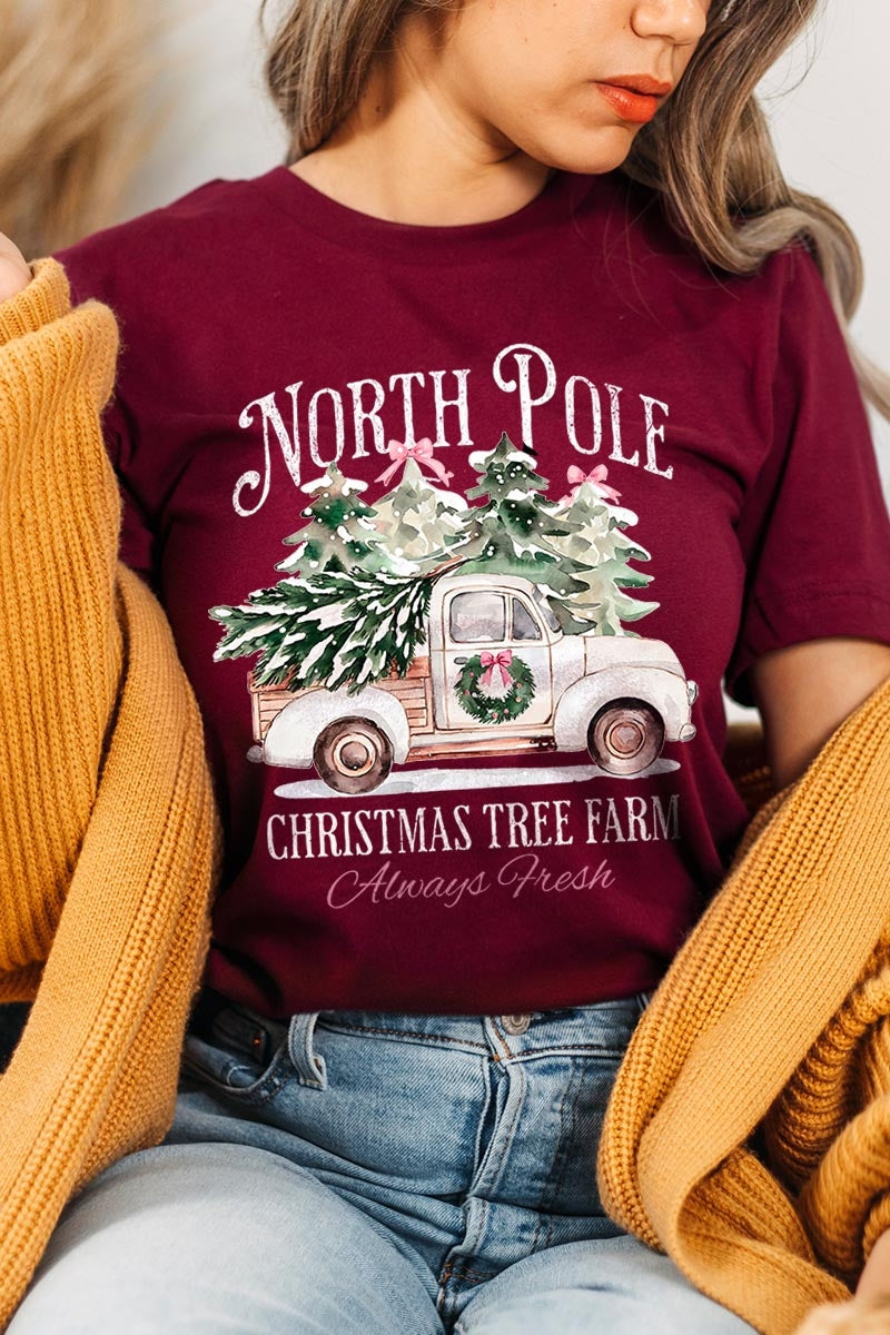 US3001-E3174 North Pole Christmas Graphic Tee $12.5
