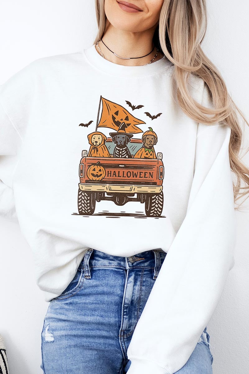 UL180-E3150 Halloween Truck Dogs Graphic Sweatshirt $20