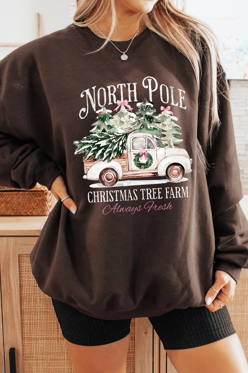 UL180P-E3174 North Pole Christmas Graphic Plus Sweatshirt $25