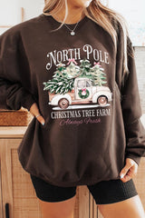UL180-E3174 North Pole Christmas Graphic Sweatshirt $20