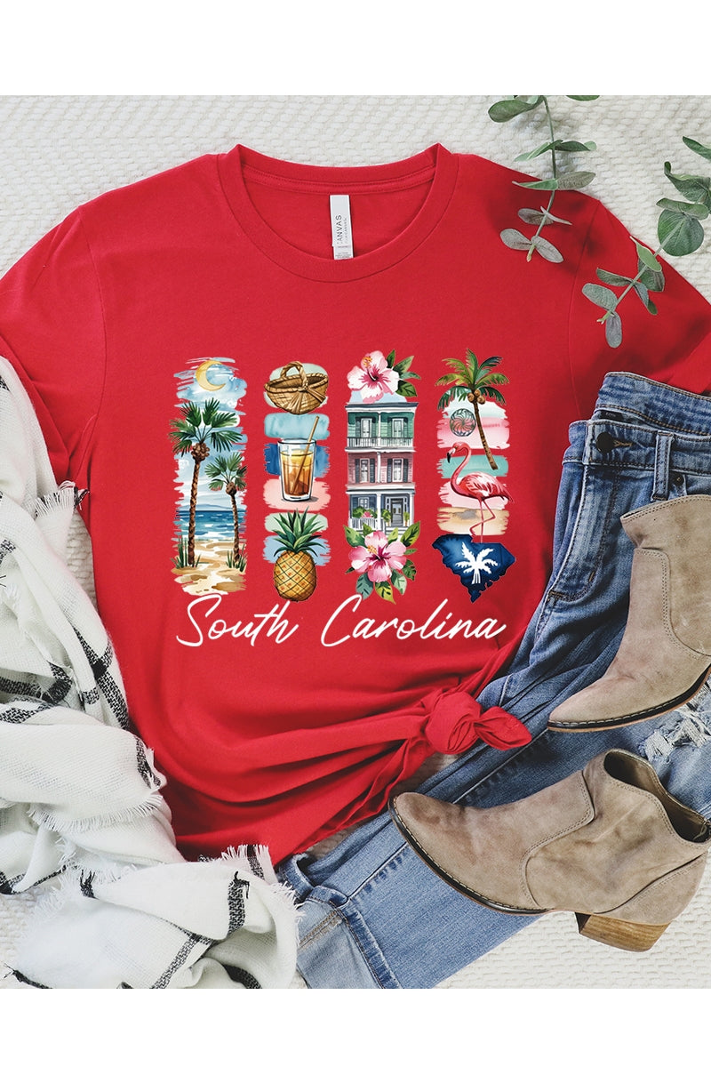 US3001-E3061SC South Carolina State Brushstroke Graphic Tee $12.5