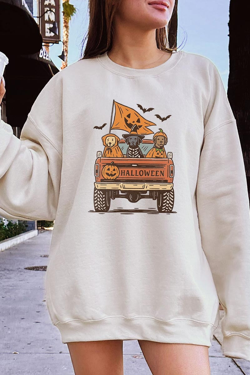 UL180-E3150 Halloween Truck Dogs Graphic Sweatshirt $20