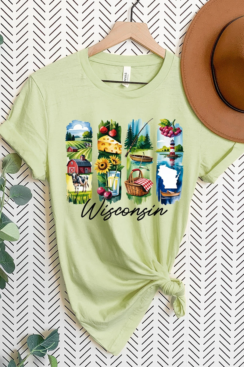 US3001-E3061WI Wisconsin State Brushstroke Graphic Tee $12.5