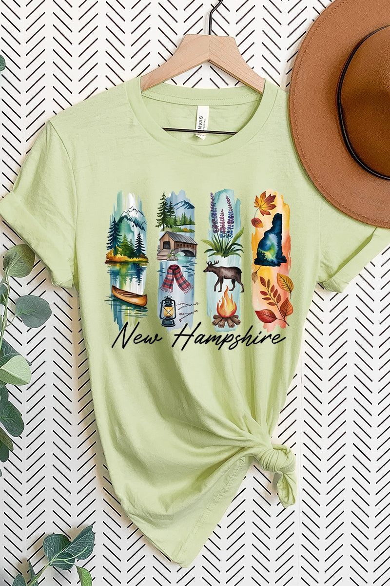 US3001P-E3061NH New Hampshire State Brushstroke Graphic Plus Tee $16