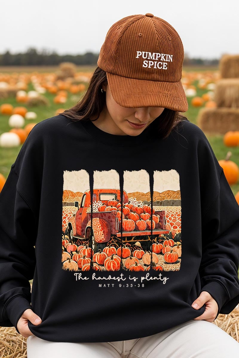 UL180P-E3172 Harvest Is Plenty Graphic Plus Sweatshirt $25
