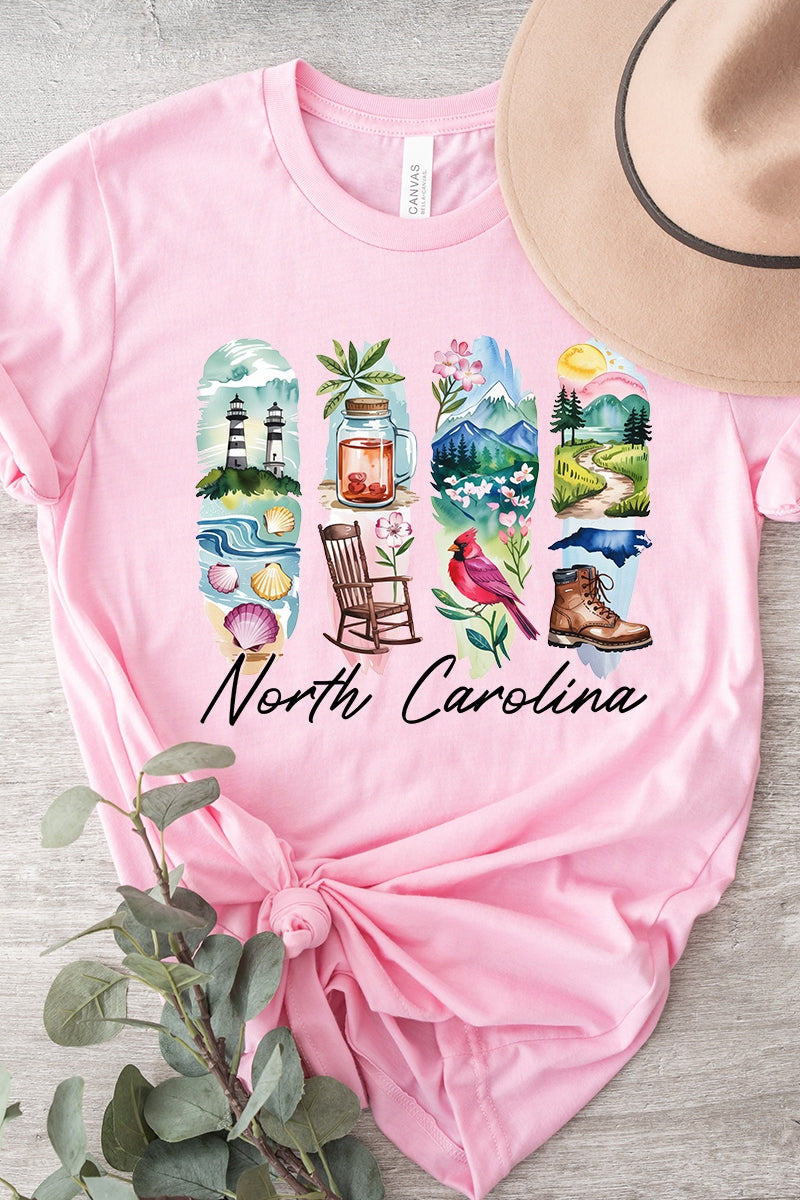 US3001-E3061NC North Carolina State Brushstroke Graphic Tee $12.5