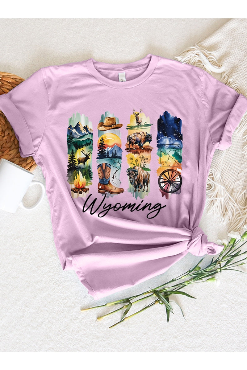 US3001-E3061WY Wyoming State Brushstroke Graphic Tee $12.5
