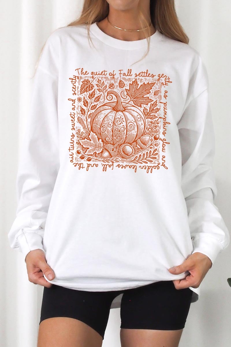 UL240P-E3112 Fall Pumpkin Graphic Plus Long Sleeve Tee $17