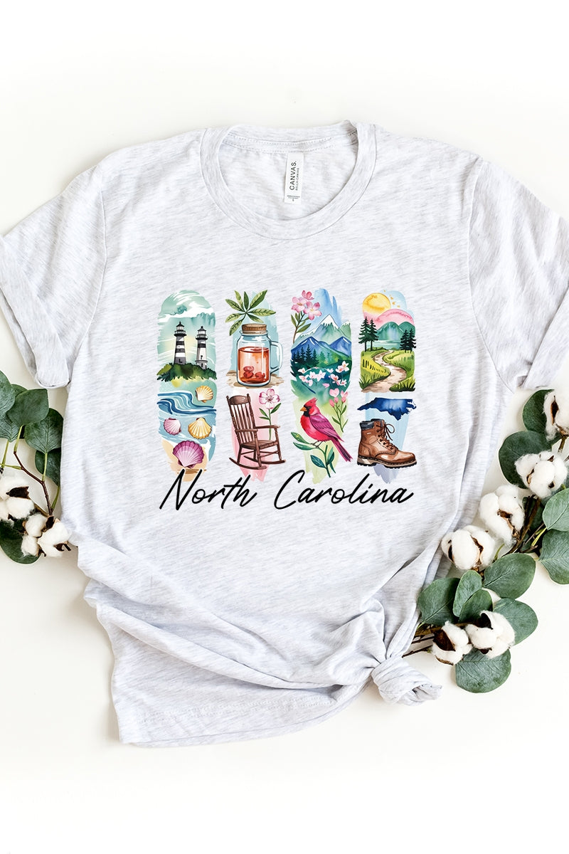 US3001P-E3061NC North Carolina State Brushstroke Graphic Plus Tee $16