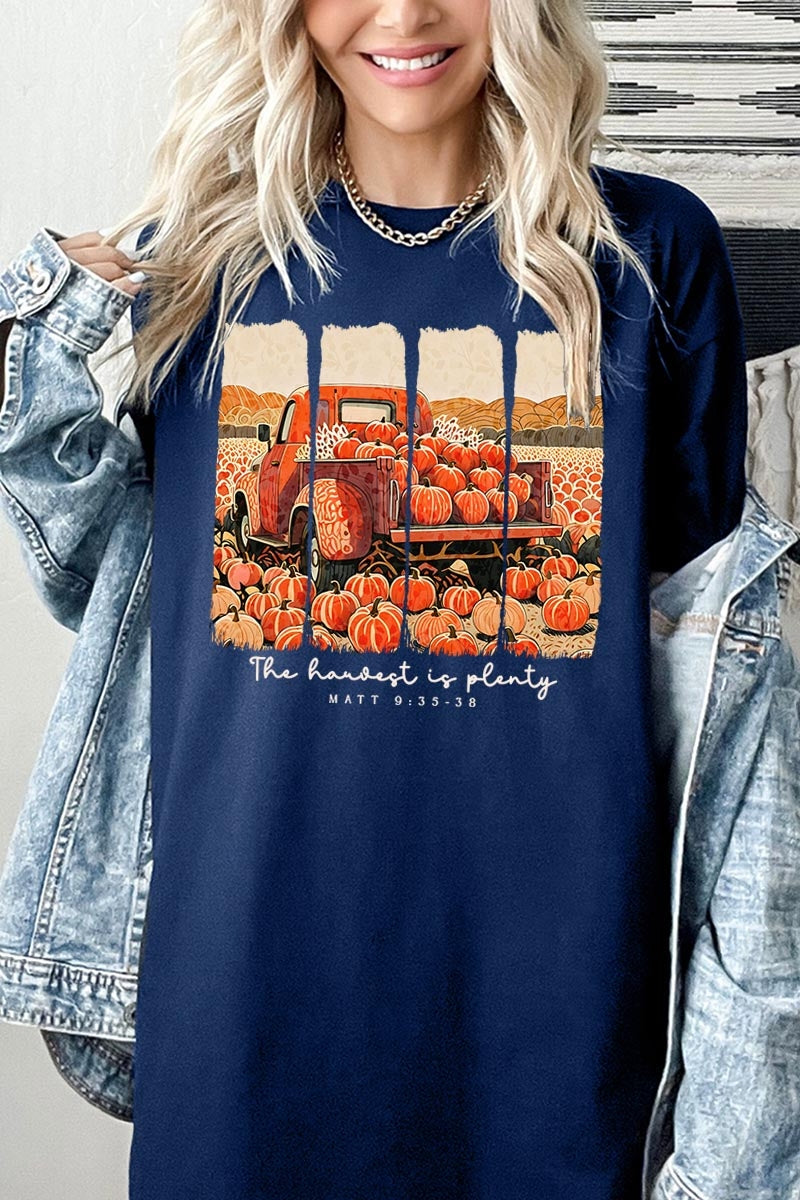 5000-E3172 Harvest Is Plenty Graphic Heavy Cotton Tee $9