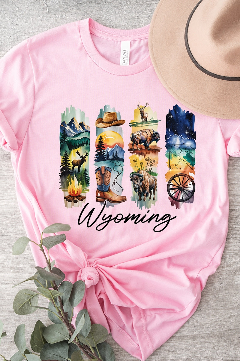 US3001-E3061WY Wyoming State Brushstroke Graphic Tee $12.5
