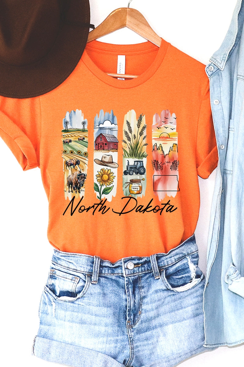 US3001-E3061ND North Dakota State Brushstroke Graphic Tee $12.5